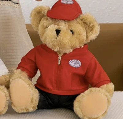 泰迪熊公仔毛绒玩具 图 2